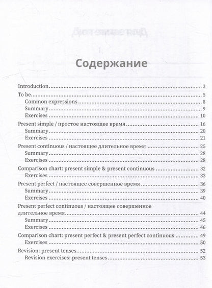 Анжелика Ягудена: Тренируем английский: все времена глагола