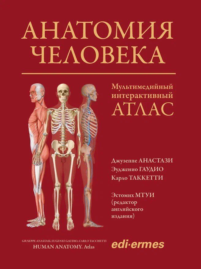 Джузеппе Анастази: Анатомия человека: атлас