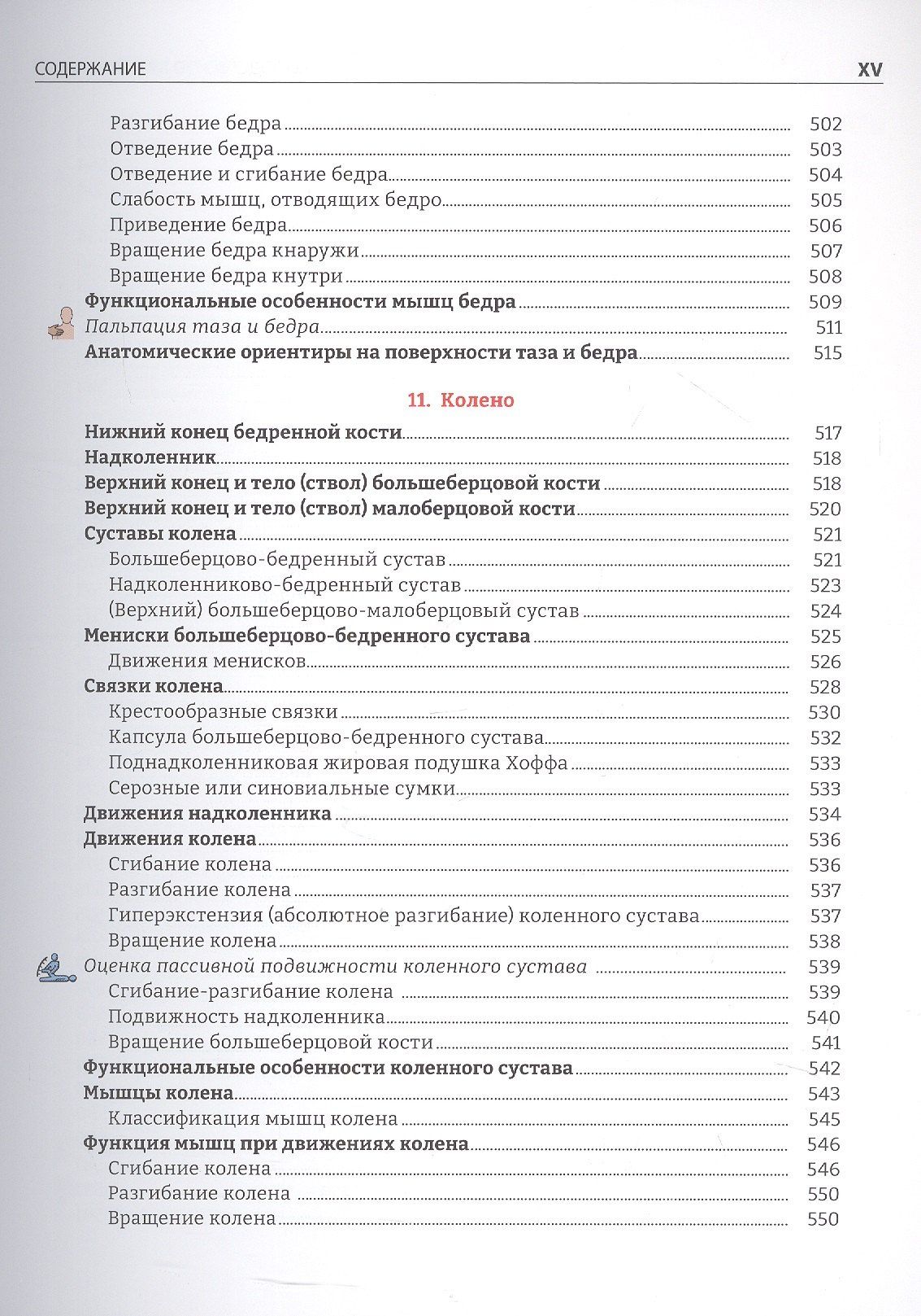 Руководство по кинезиологии. Функциональная анатомия. Биомеханика. Оценка состояния суставов и мышц