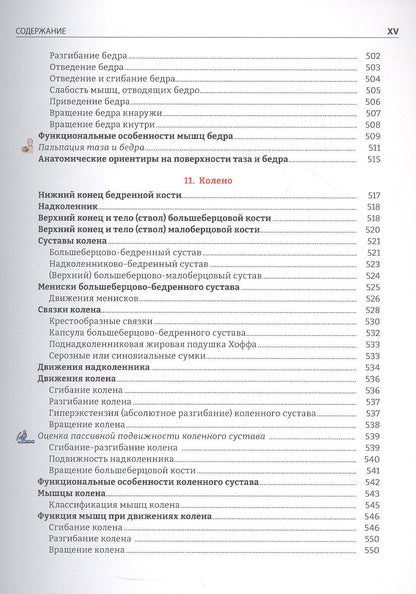 Руководство по кинезиологии. Функциональная анатомия. Биомеханика. Оценка состояния суставов и мышц