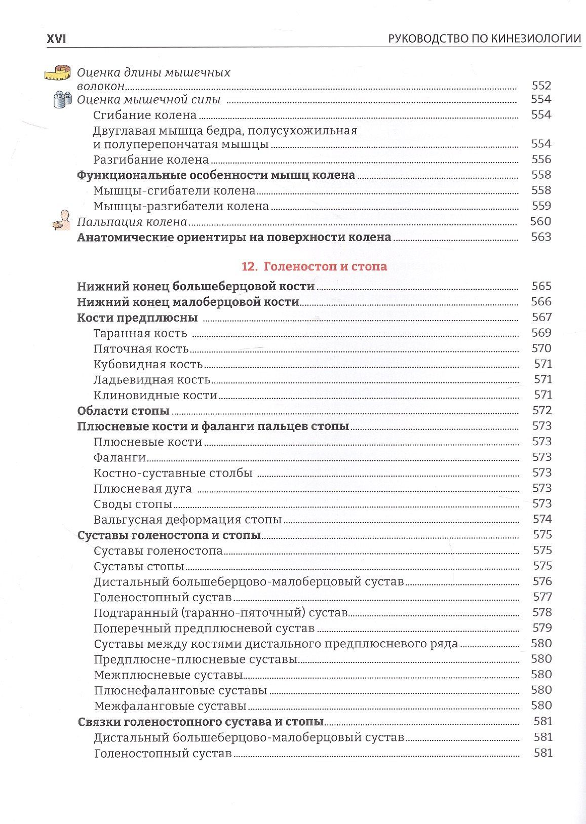 Руководство по кинезиологии. Функциональная анатомия. Биомеханика. Оценка состояния суставов и мышц