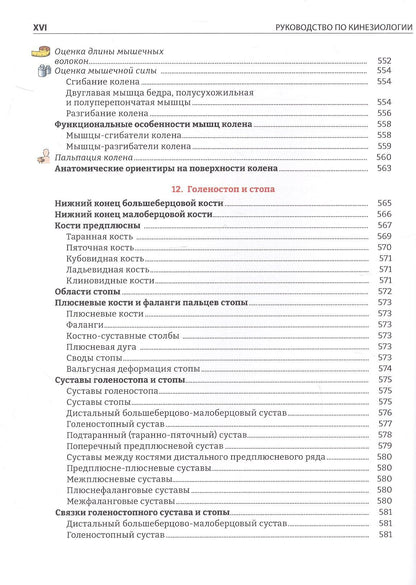 Руководство по кинезиологии. Функциональная анатомия. Биомеханика. Оценка состояния суставов и мышц