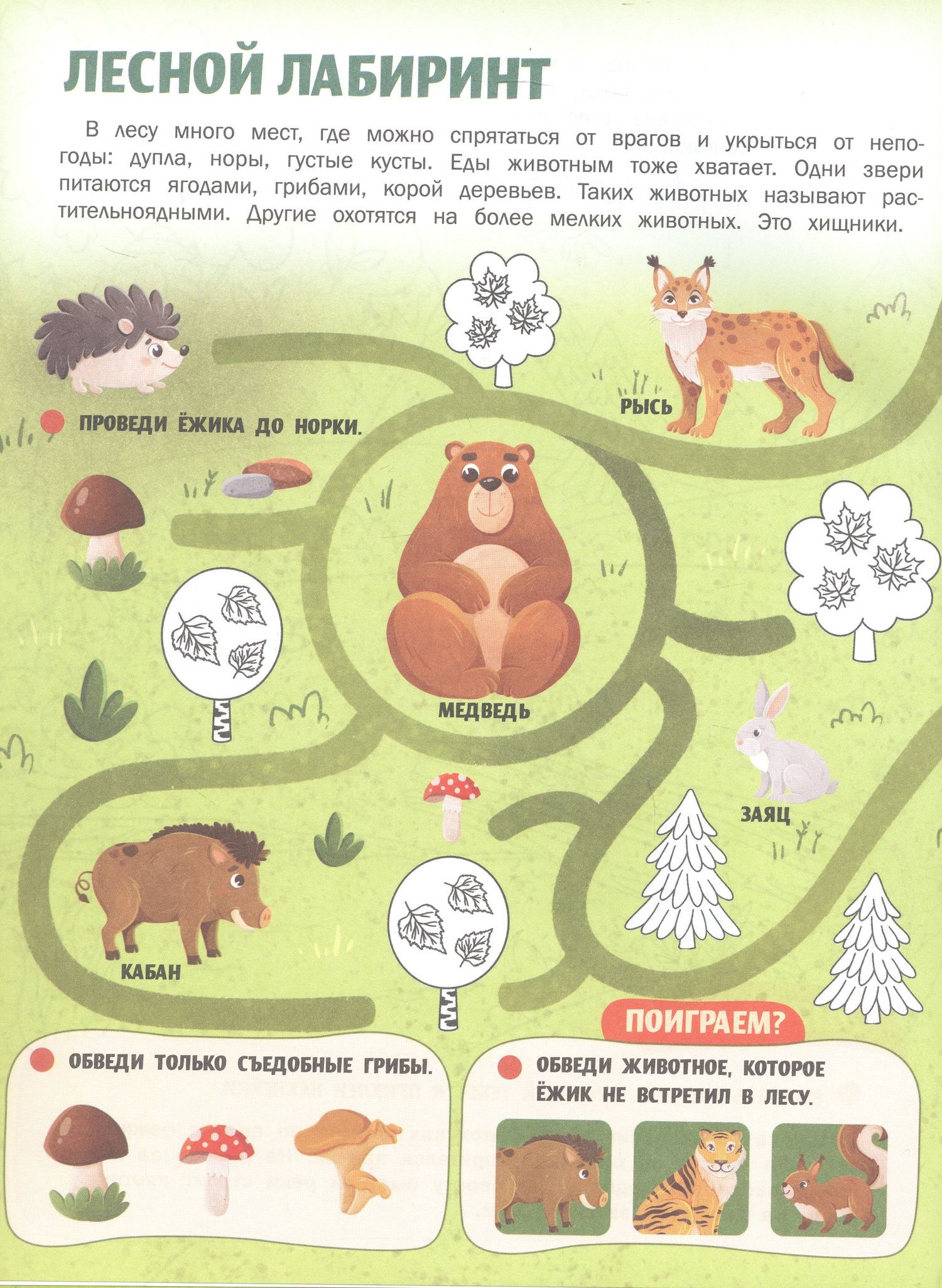 Жанна Борода: Животные России: книжка с наклейками