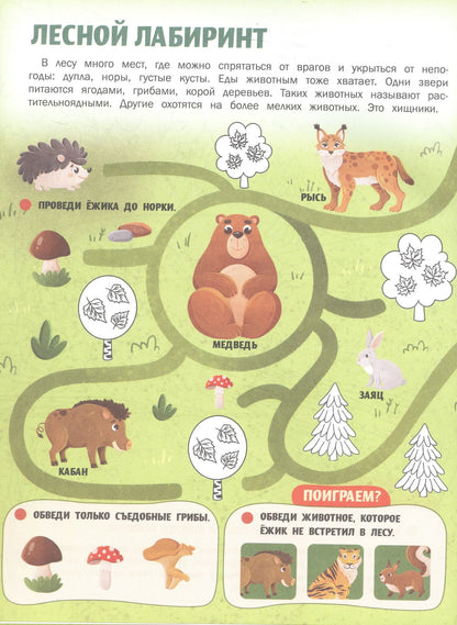 Жанна Борода: Животные России: книжка с наклейками