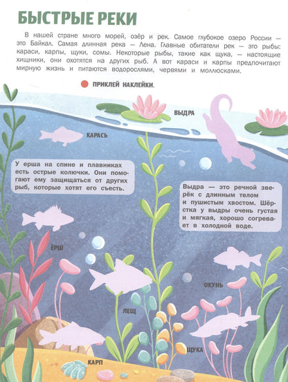 Жанна Борода: Животные России: книжка с наклейками