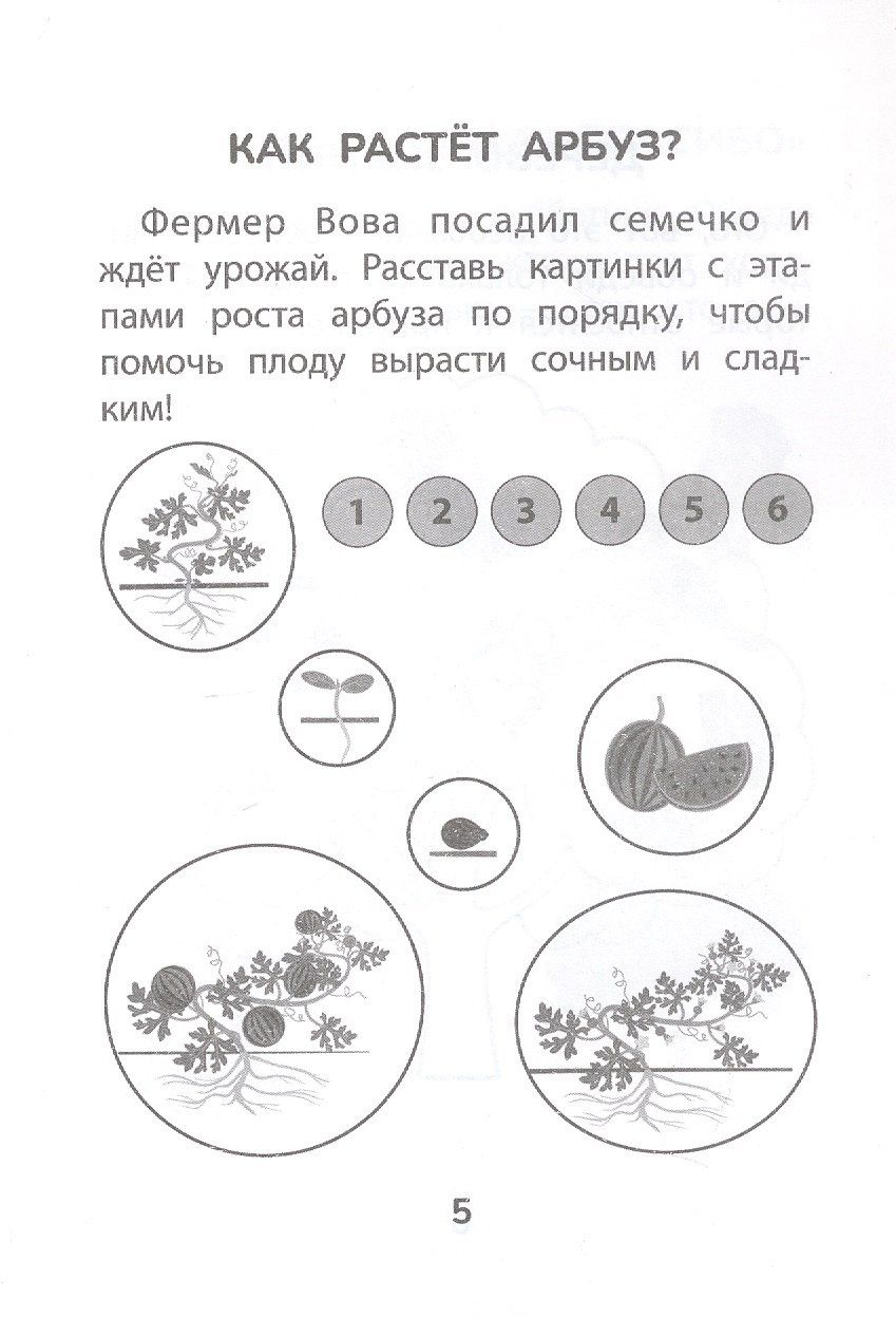 Прятки с природой: готовимся к школе