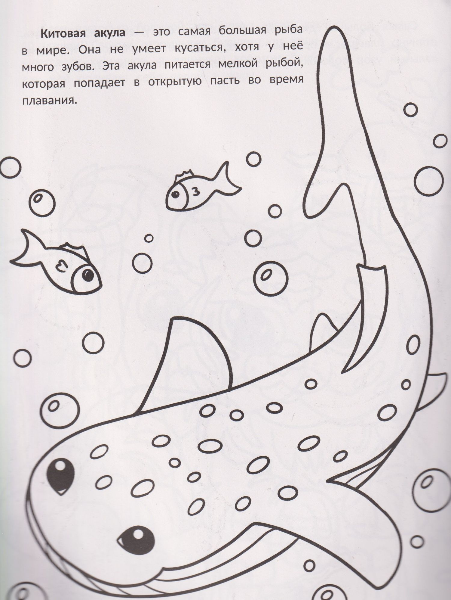 Самые большие: книжка-раскраска