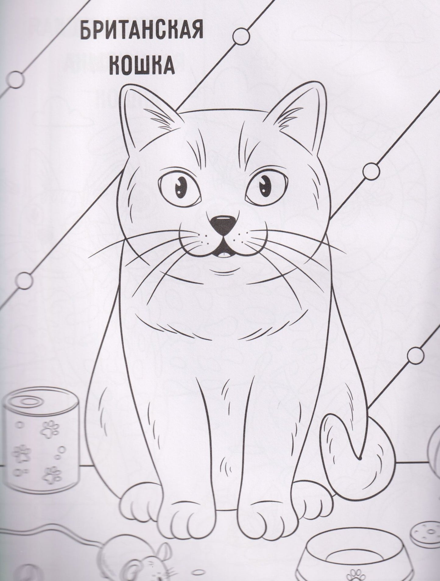 Котики: книжка-раскраска