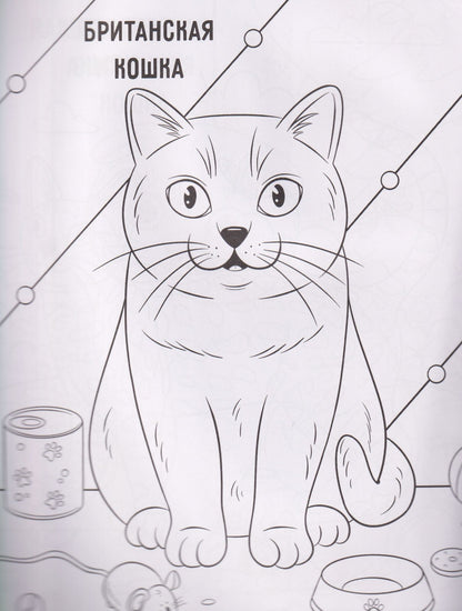 Котики: книжка-раскраска