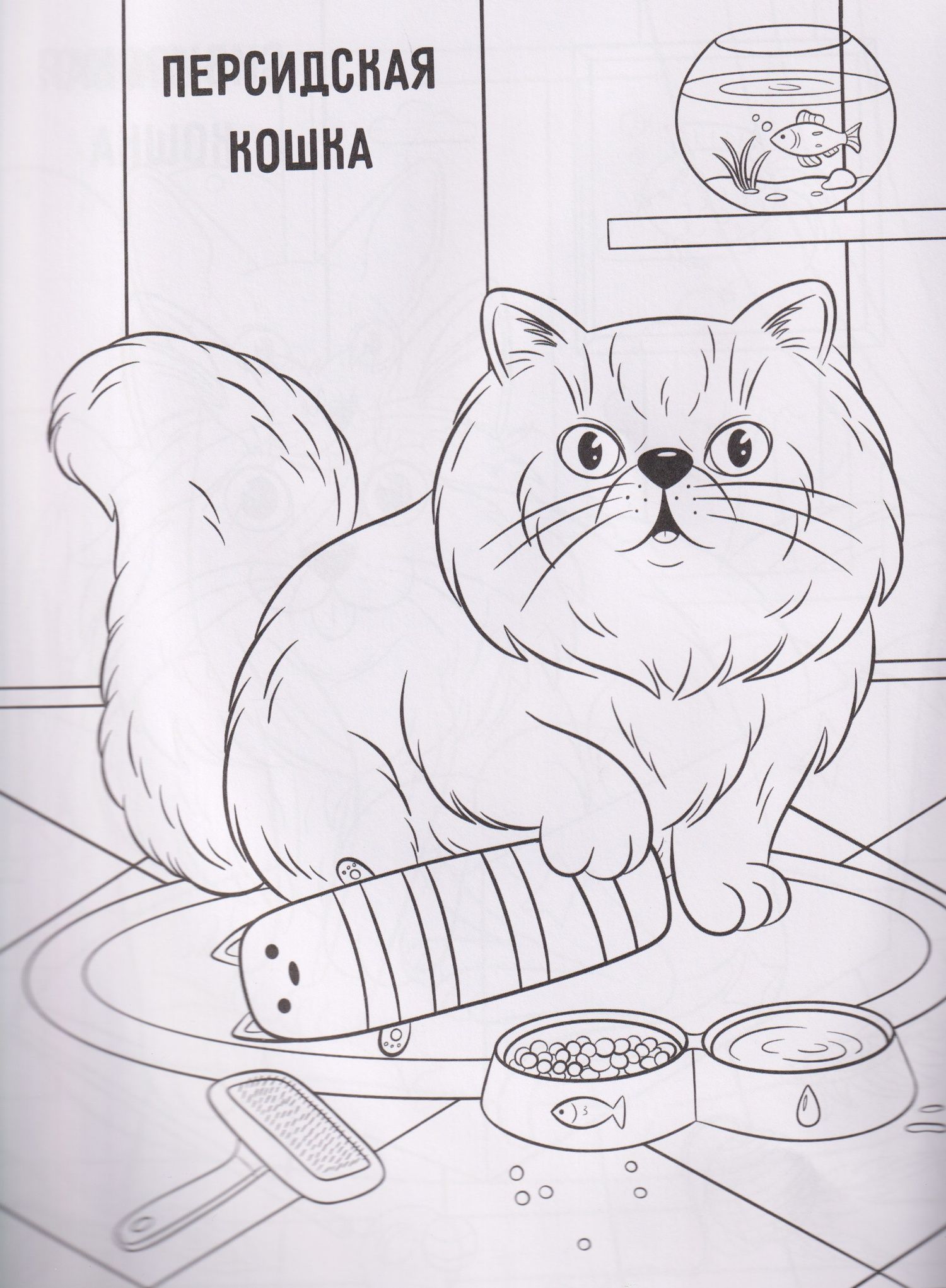 Котики: книжка-раскраска