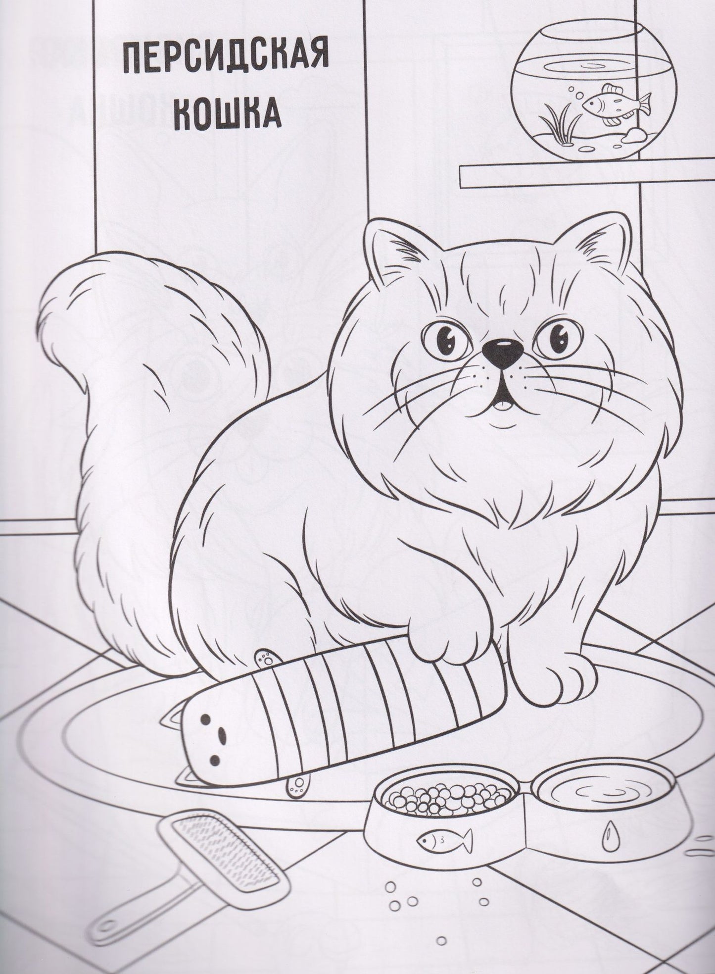 Котики: книжка-раскраска