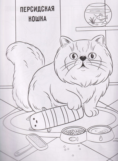 Котики: книжка-раскраска
