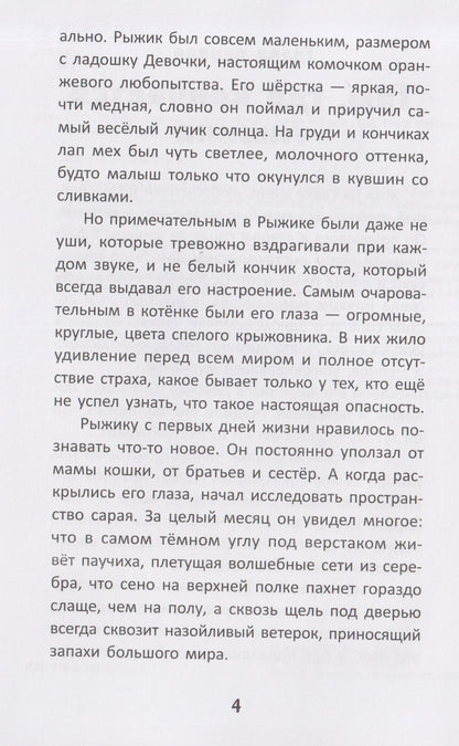 Майя Костюк: Огонёк. Друг из горячей точки