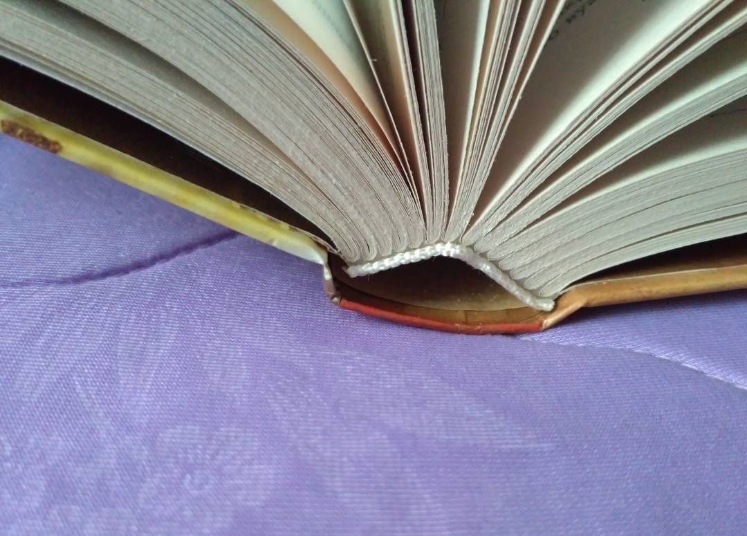 Николай Лейкин: В гостях у турок. Юмористическое описание путешествия супругов Н. и Г. Ивановых в Константинополь