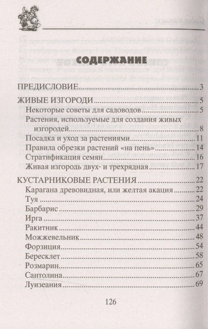 Анна Зорина: Декоративные кустарники