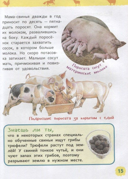 Ирина Травина: Животные фермы. Энциклопедия для детского сада