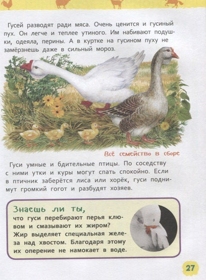 Ирина Травина: Животные фермы. Энциклопедия для детского сада