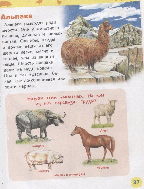 Ирина Травина: Животные фермы. Энциклопедия для детского сада