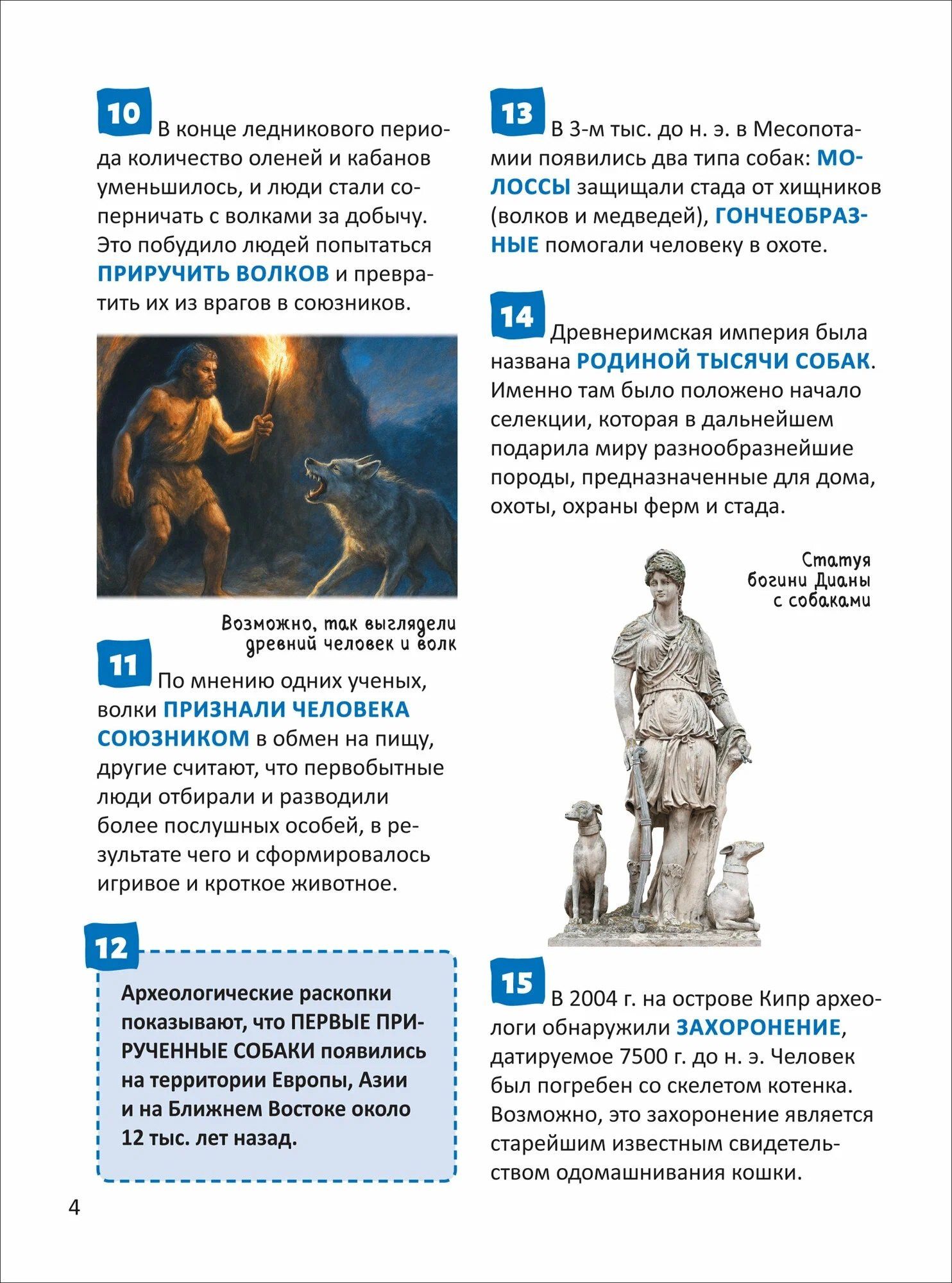 Елена Клюсовец: Кошки и собаки. Энциклопедия российского школьника