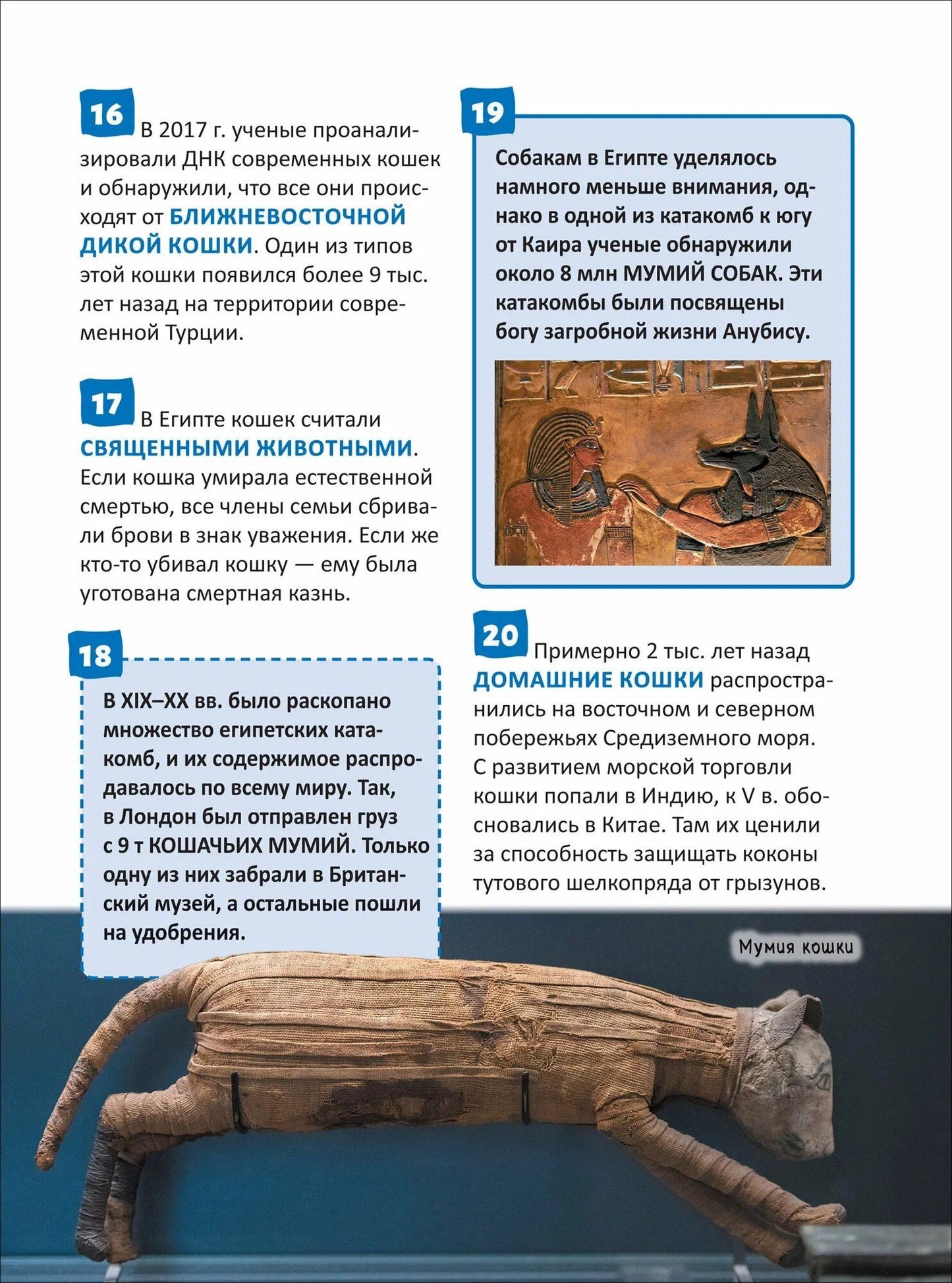 Елена Клюсовец: Кошки и собаки. Энциклопедия российского школьника