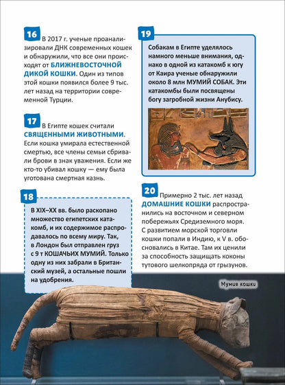 Елена Клюсовец: Кошки и собаки. Энциклопедия российского школьника