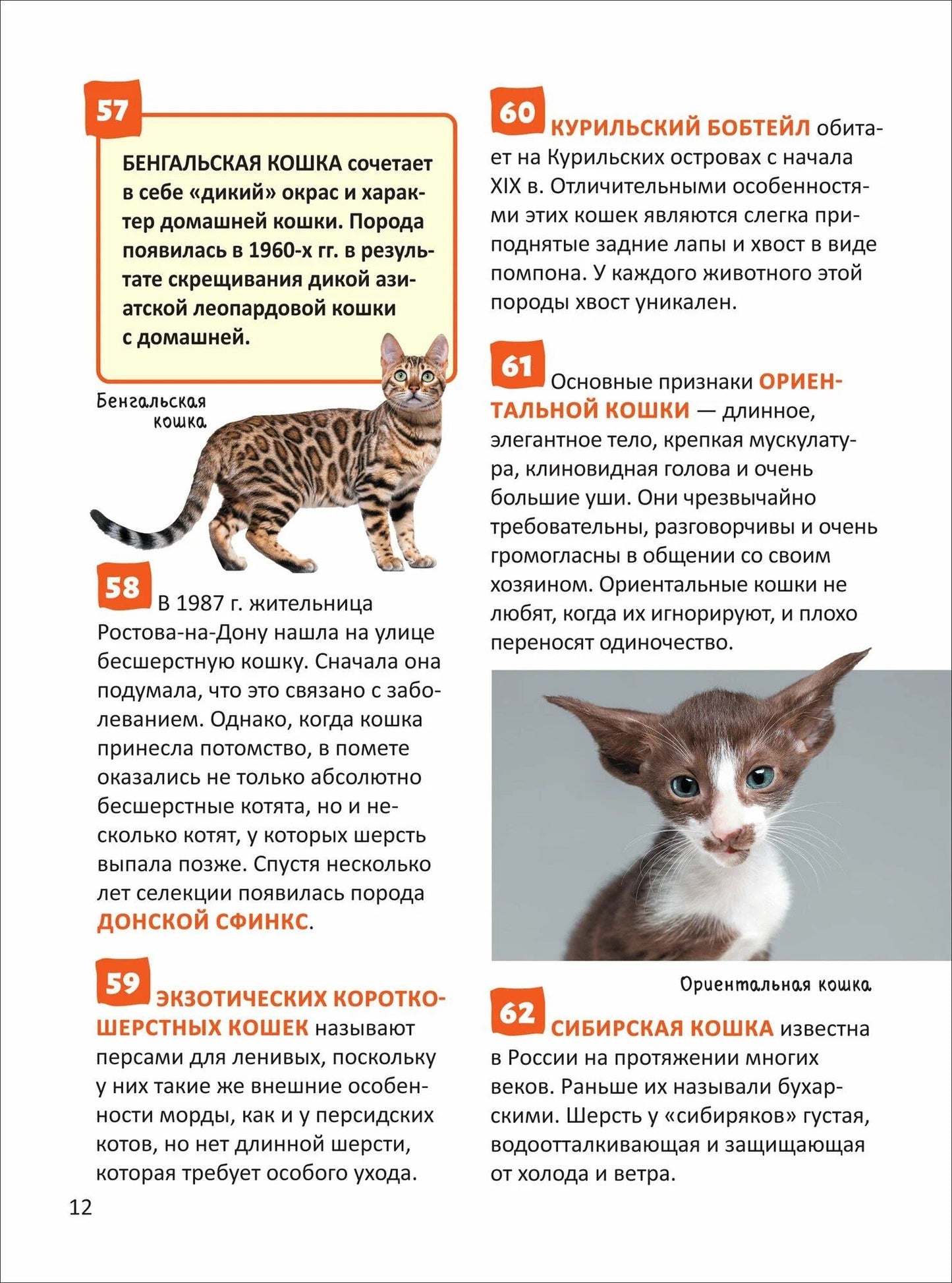 Елена Клюсовец: Кошки и собаки. Энциклопедия российского школьника