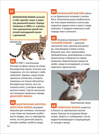 Елена Клюсовец: Кошки и собаки. Энциклопедия российского школьника