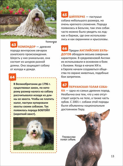 Елена Клюсовец: Кошки и собаки. Энциклопедия российского школьника