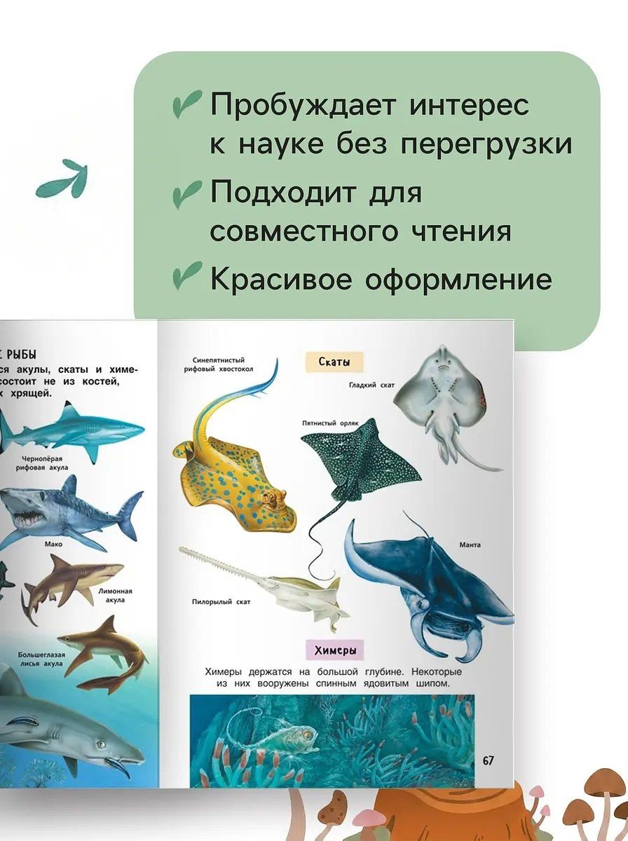 Лучшая энциклопедия для детей