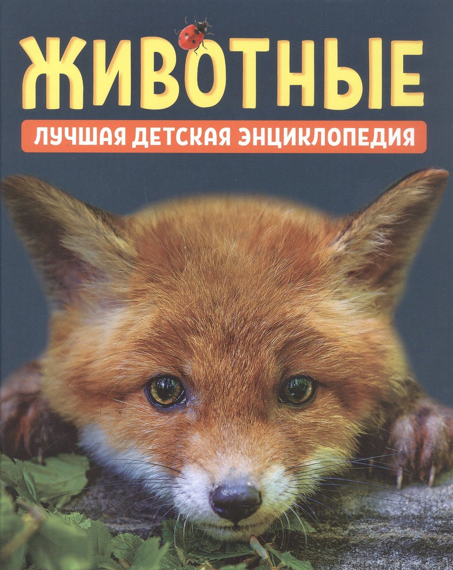 Лариса Клюшник: Животные. Лучшая детская энциклопедия