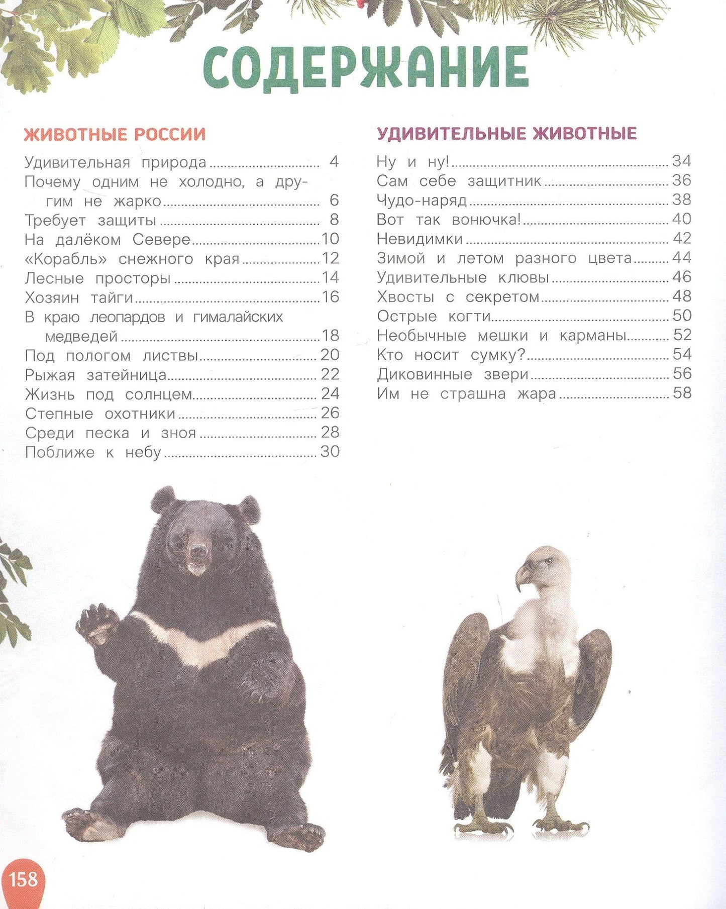 Лариса Клюшник: Животные. Лучшая детская энциклопедия