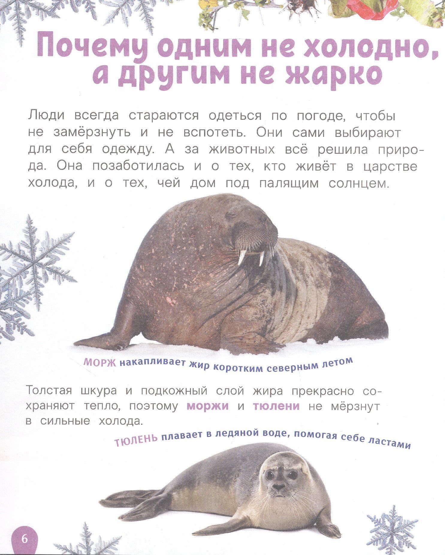 Лариса Клюшник: Животные. Лучшая детская энциклопедия