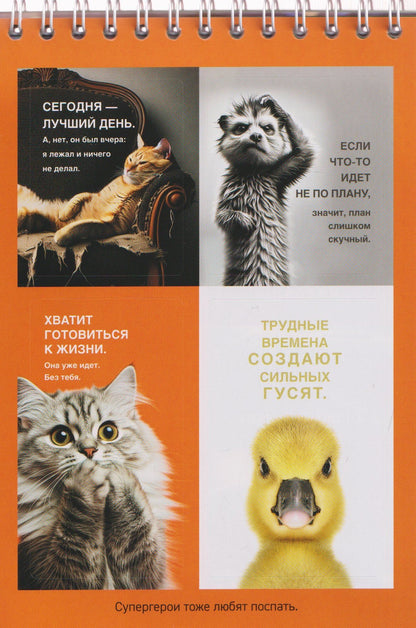 Дай себе год. И опять ничего не меняй. Стикербук с цитатами