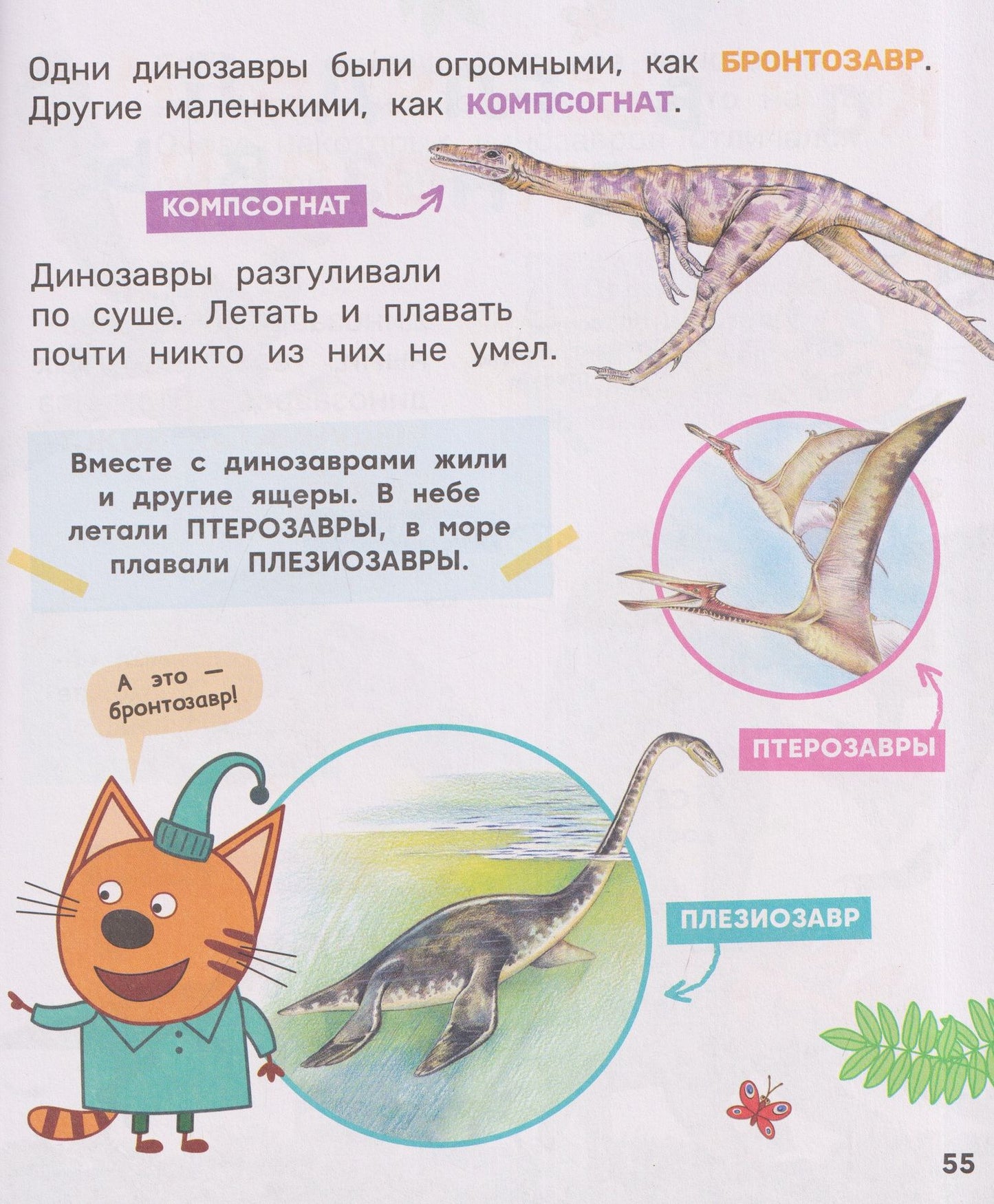 Лариса Клюшник: Три кота. Любимая энциклопедия