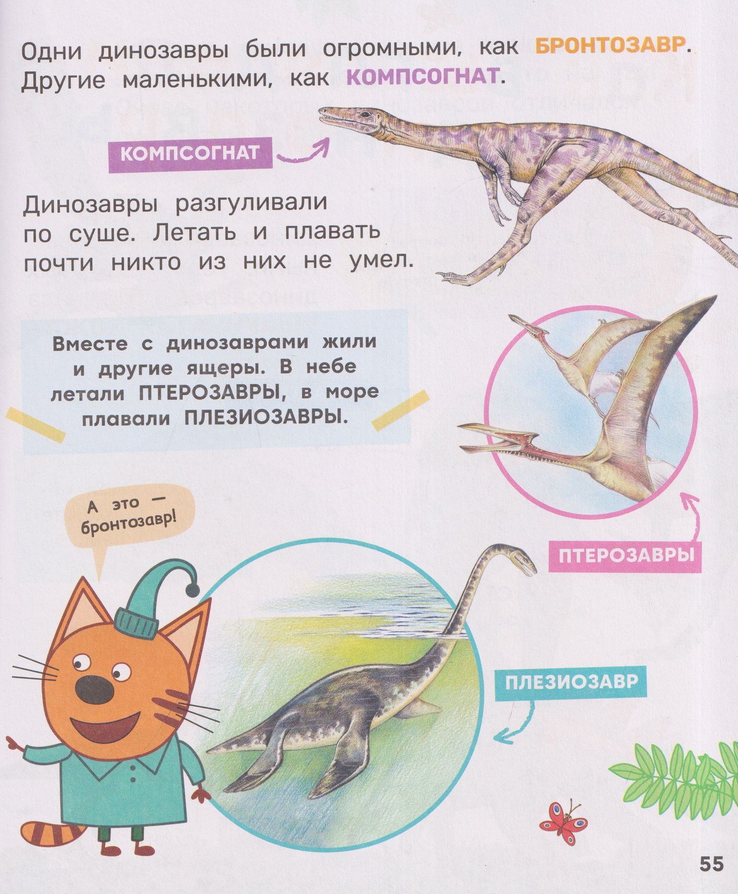 Лариса Клюшник: Три кота. Любимая энциклопедия