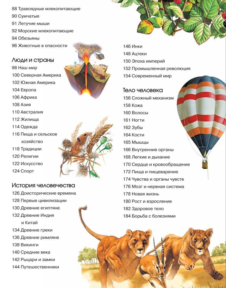 Большая энциклопедия знаний