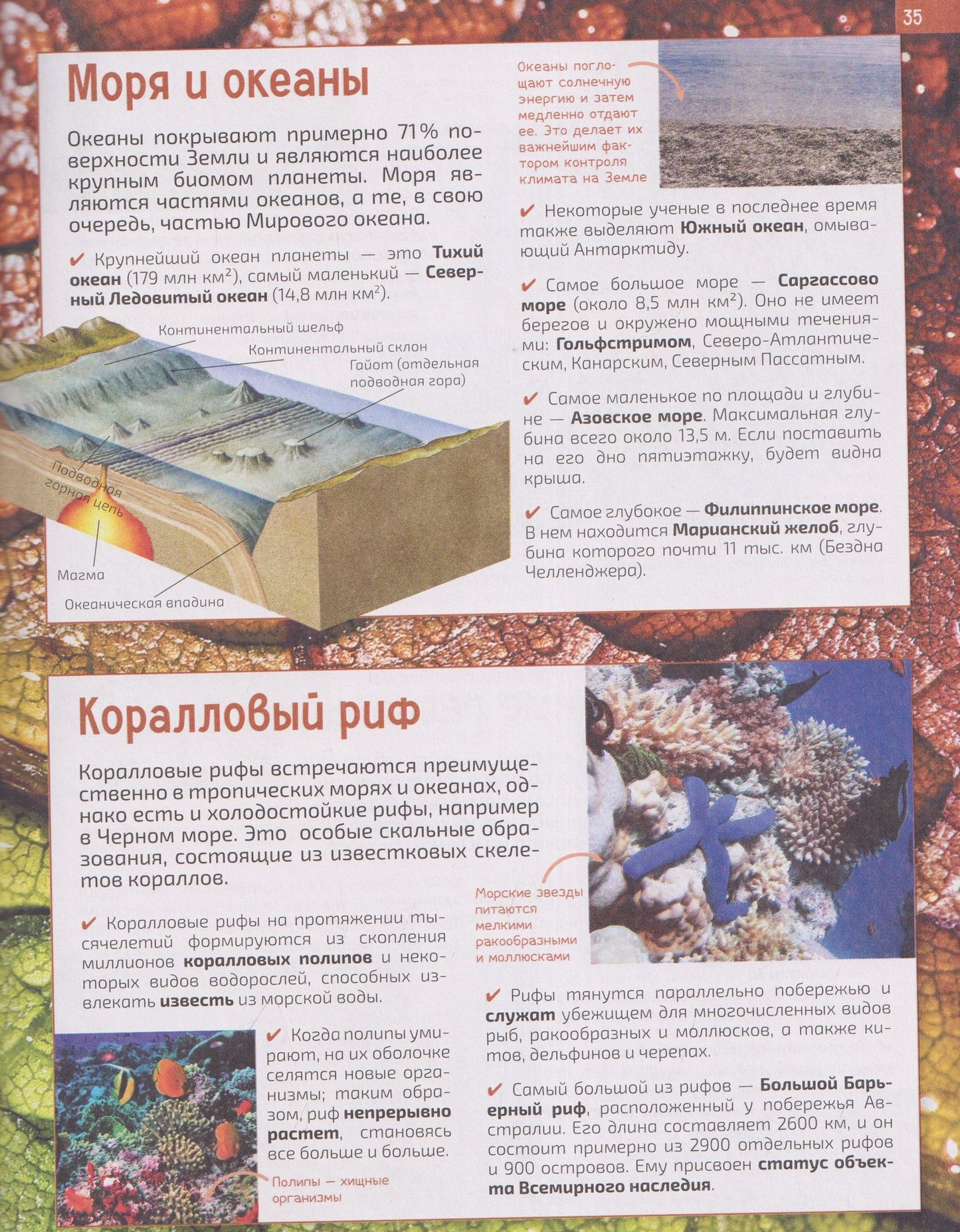 3000 фактов. Энциклопедия на все времена