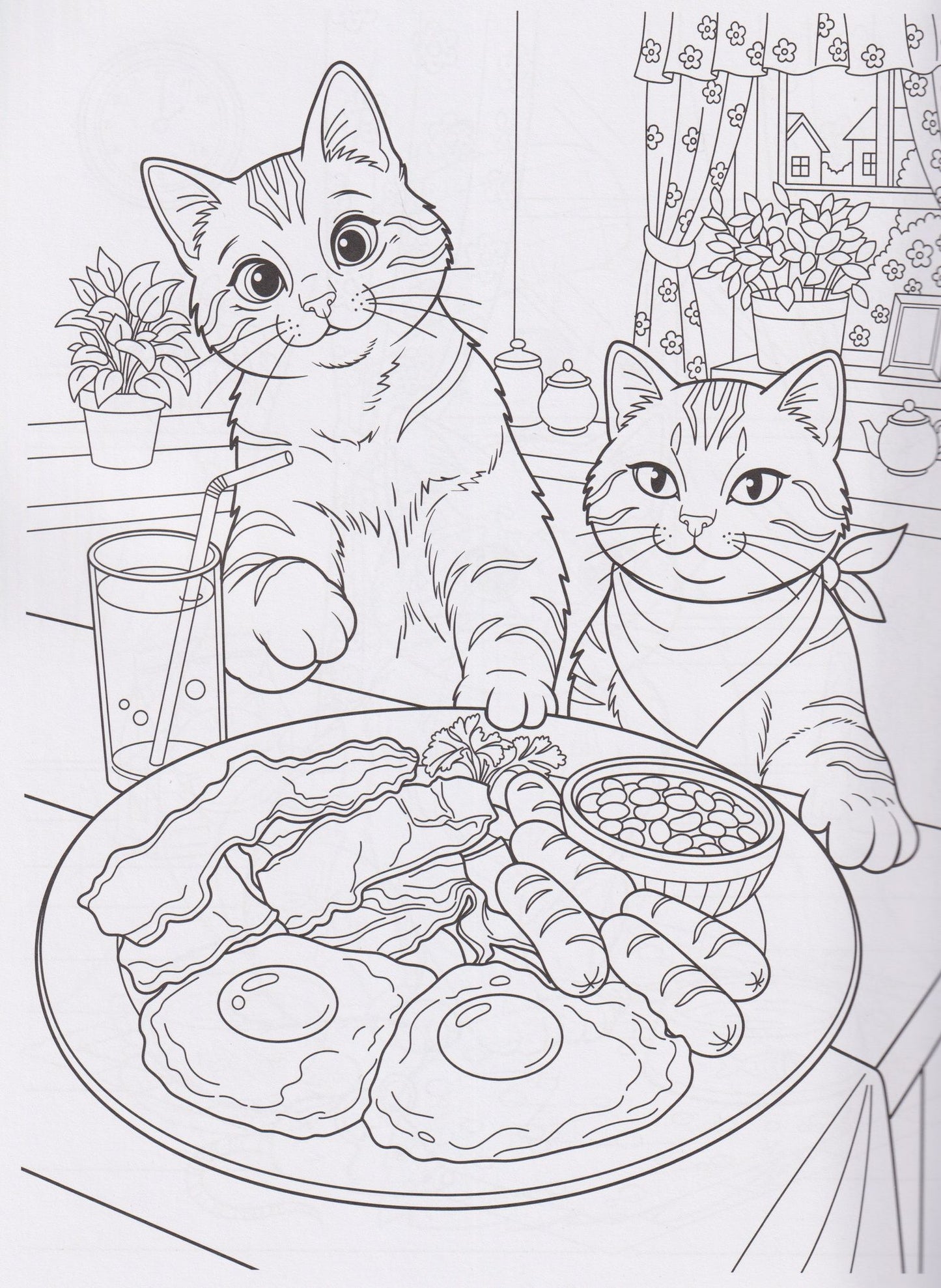 Котики