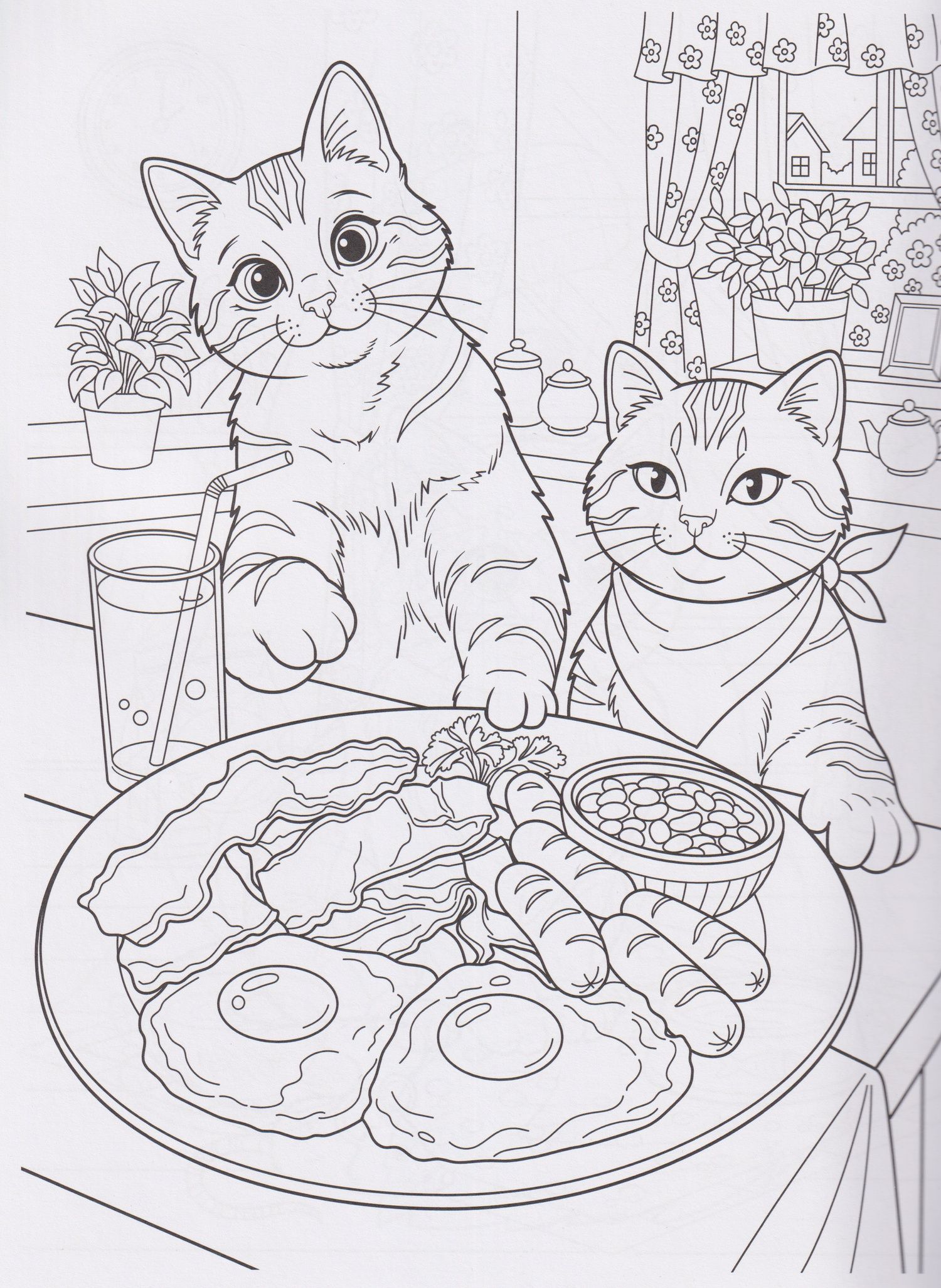 Котики