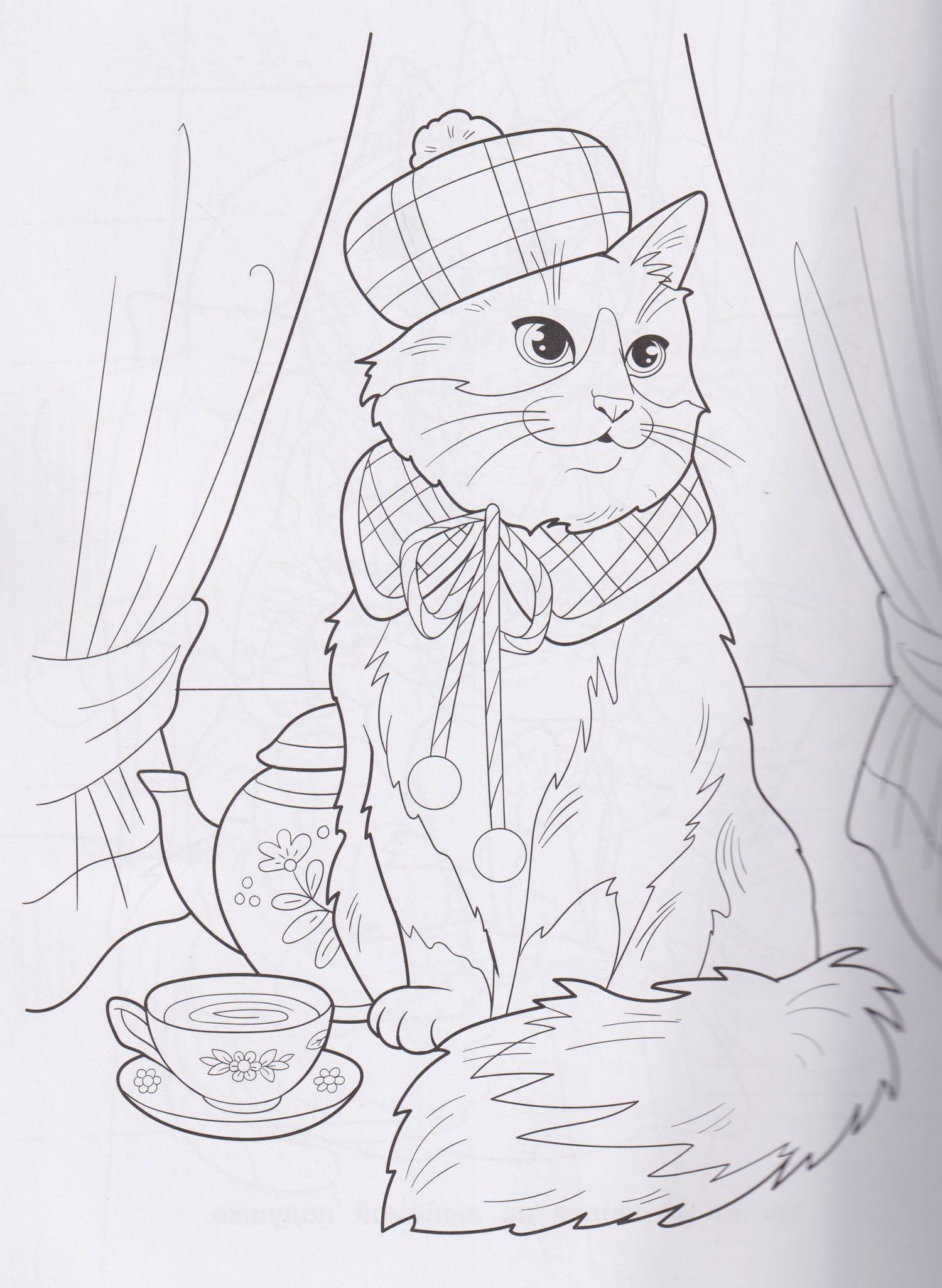 Котики