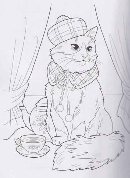 Котики