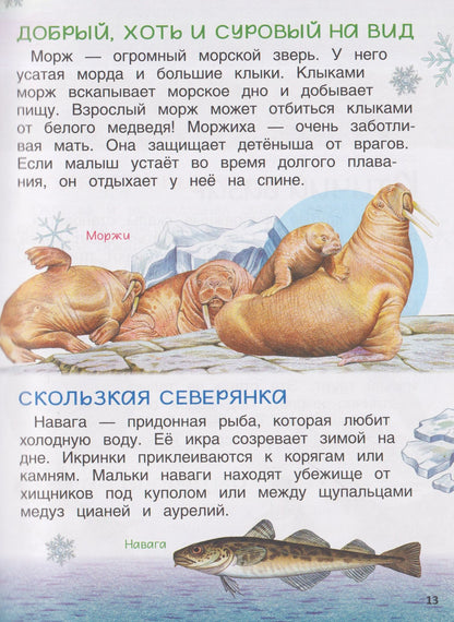 Лариса Клюшник: Животные. Энциклопедия. Подарок школьнику