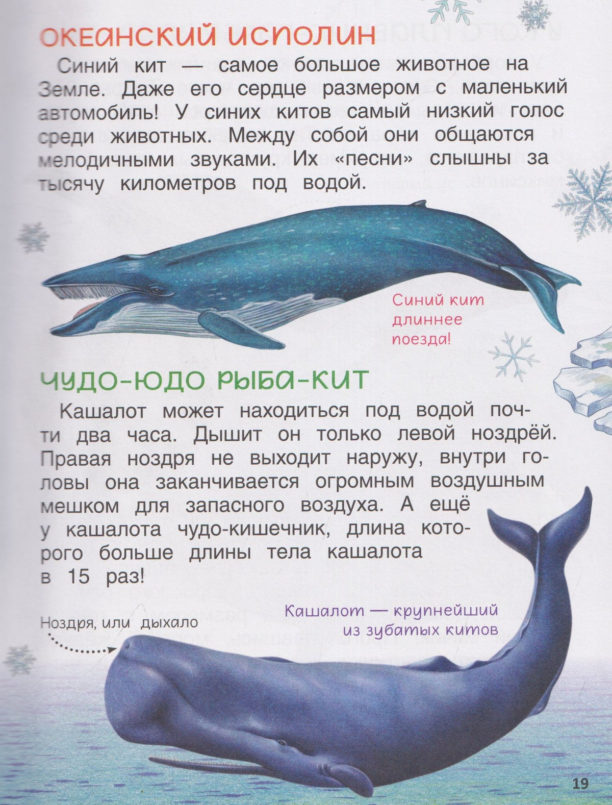 Лариса Клюшник: Животные. Энциклопедия. Подарок школьнику