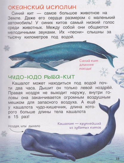 Лариса Клюшник: Животные. Энциклопедия. Подарок школьнику