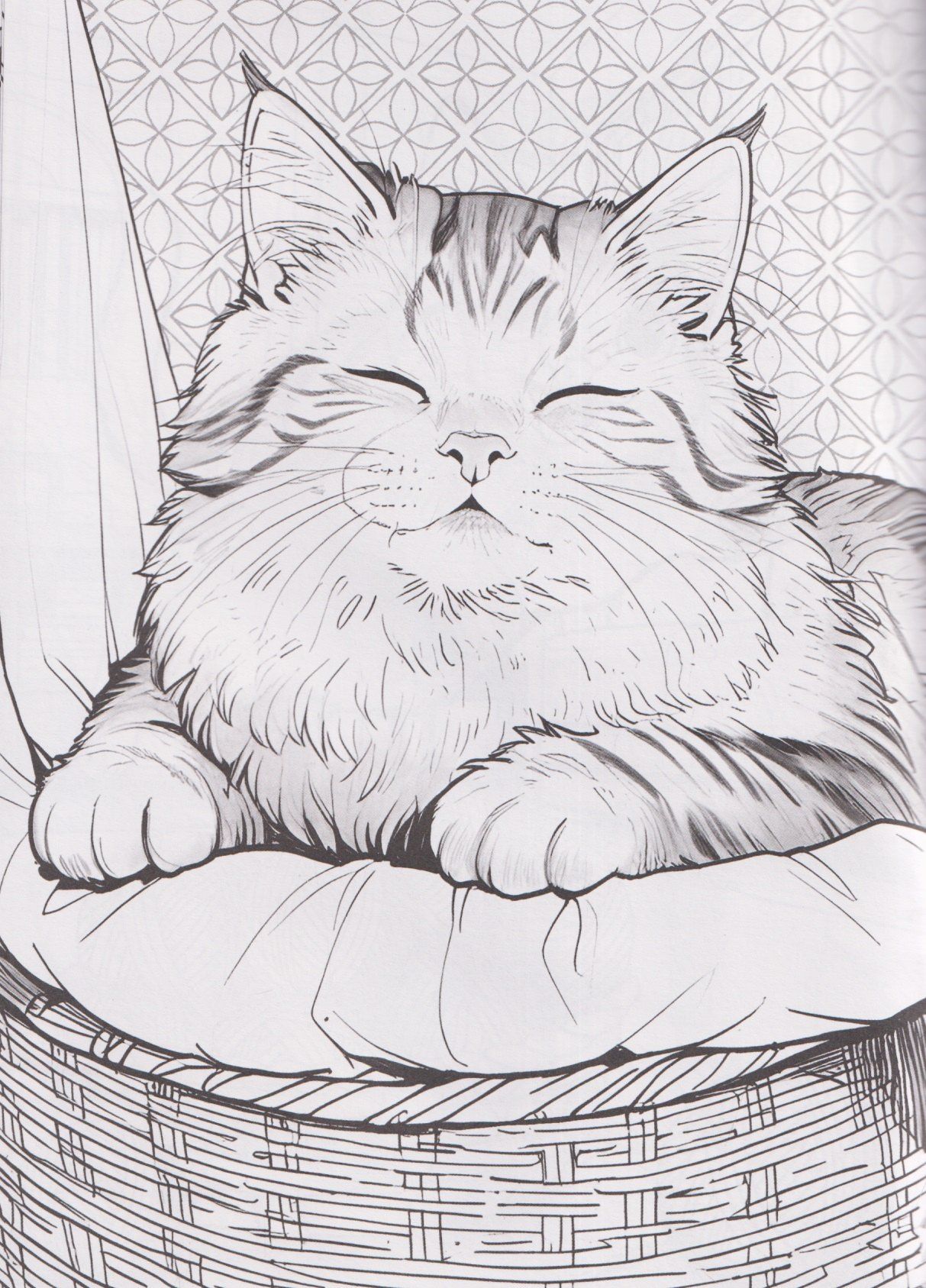 Котики. 3D-раскраска