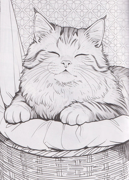 Котики. 3D-раскраска