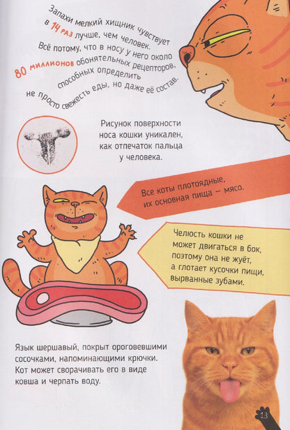 Александра Хворост: Кошки. Большие секреты маленьких хищников. Энциклопедия для детей