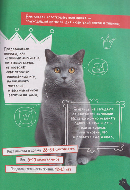 Александра Хворост: Кошки. Большие секреты маленьких хищников. Энциклопедия для детей