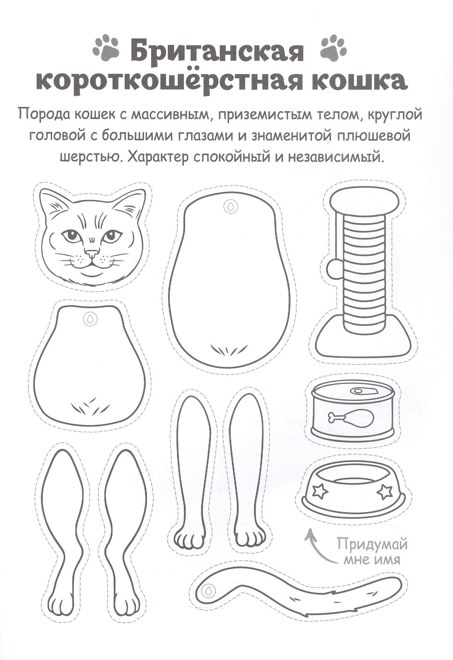 Кошки из бумаги. 16 фигурок для сборки!