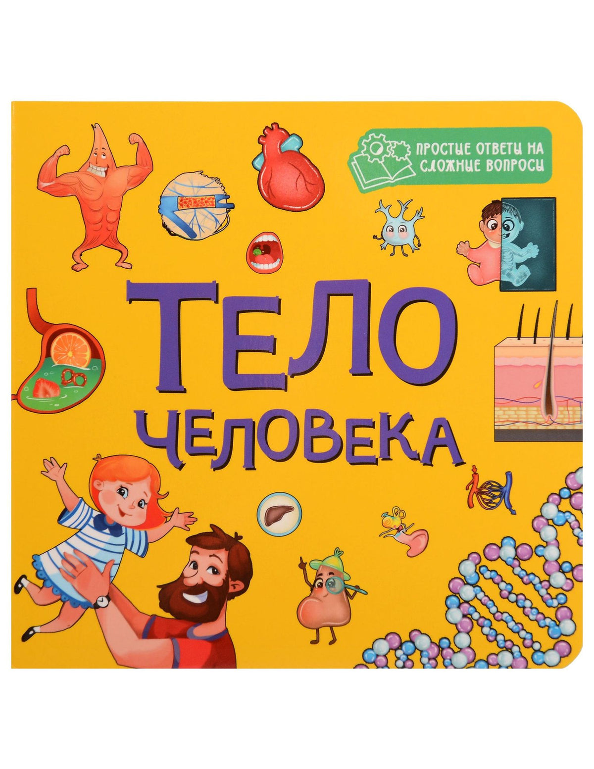 Тело человека